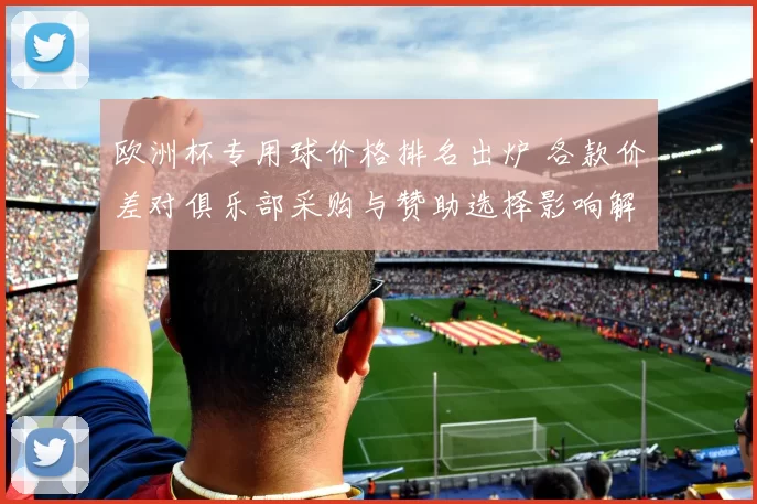 欧洲杯专用球价格排名出炉 各款价差对俱乐部采购与赞助选择影响解读