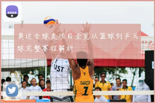奥运会球类项目全览从篮球到乒乓球完整赛程解析