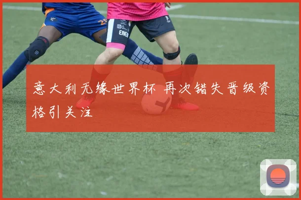 意大利无缘世界杯 再次错失晋级资格引关注