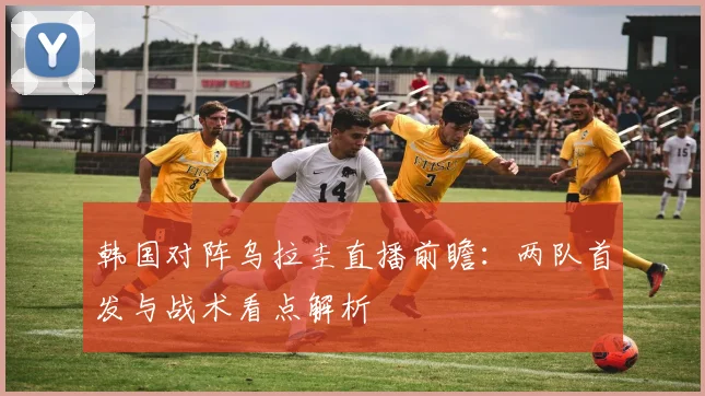 韩国对阵乌拉圭直播前瞻：两队首发与战术看点解析